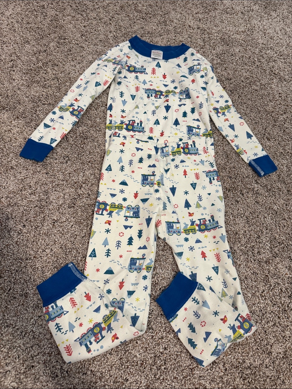 Hannah Anderson winter animal train print pajamas